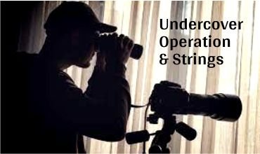 Financial Verification